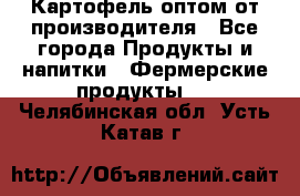 Картофель оптом от производителя - Все города Продукты и напитки » Фермерские продукты   . Челябинская обл.,Усть-Катав г.